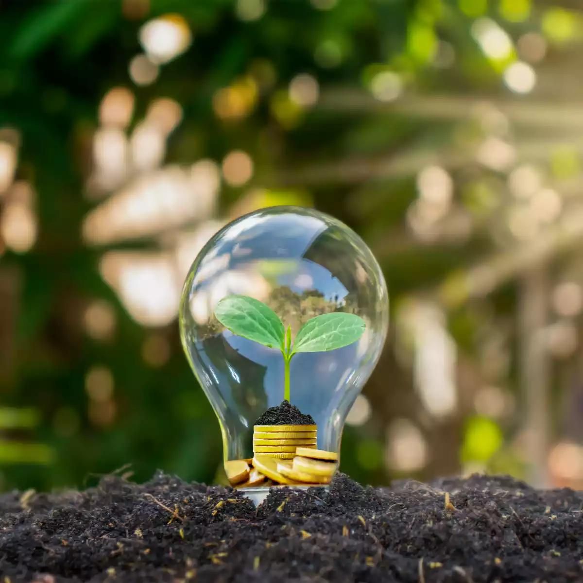 ampoule avec une plante dedans et des pièces