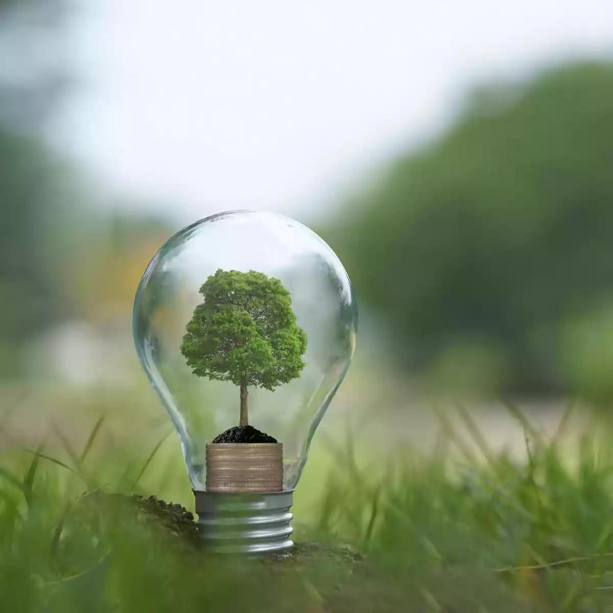 ampoule avec un arbre dedans