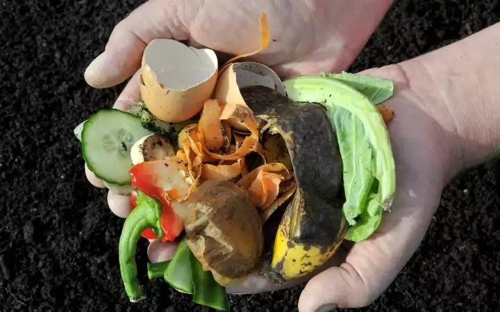 compost déchets organiques