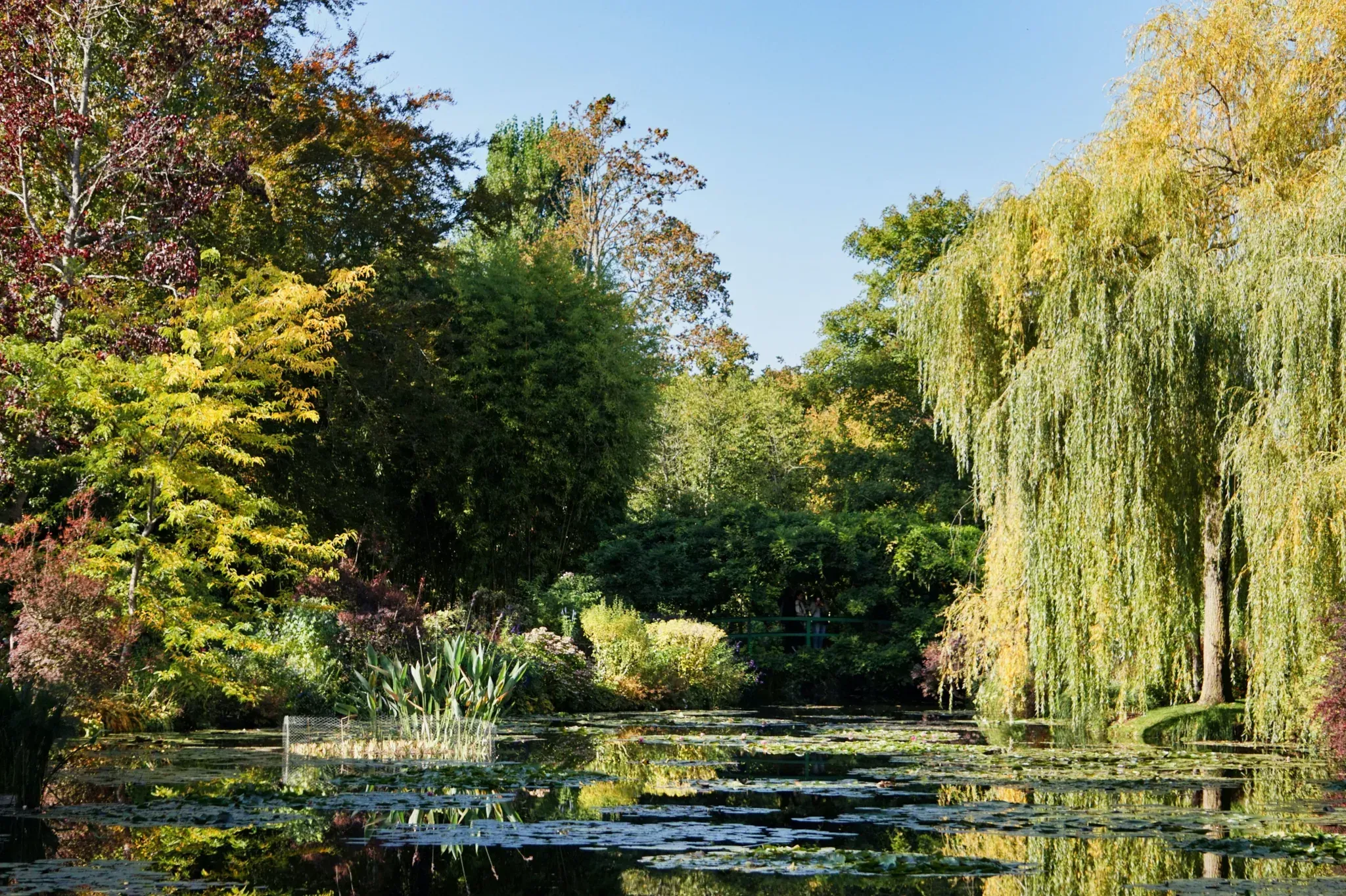 étangs de Giverny