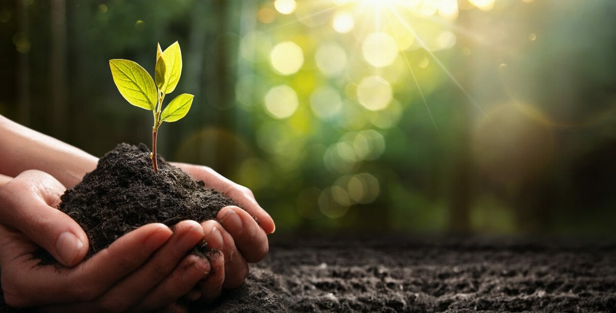 environnement